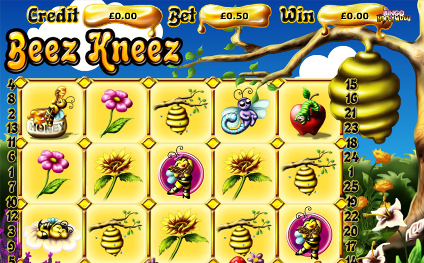 The ‘Beez Kneez’ – A Slot Preview, large view